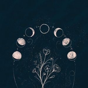 Meet your Posher, Whitney